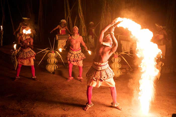 Cultural Dance Show